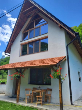 Antić apartmani Stara planina